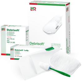 L & R Debrisoft